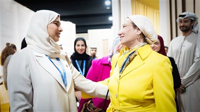 وزيرة البيئة تعقد لقاءات ثنائية على هامش مؤتمر الأطراف cop29  بأذربيجان