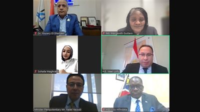 جمعية رجال الأعمال المصريين الأفارقة تنظم 