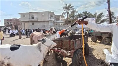 بيطرى الشرقية تنظم قافلة طبية مجانية بقرية المعالي