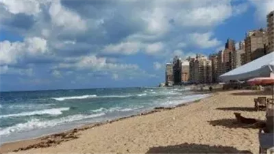 رئيس الغرفة التجارية يتفقد سوق المزارعين ويستمع لشكواهم لاوضاع السوق بالاسكندرية 