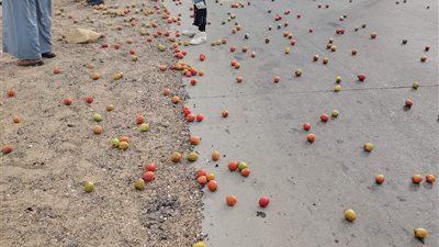 إصابة 3 أشخاص في انقلاب سيارة ربع نقل في الفيوم