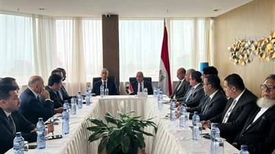 وزير الخارجية والهجرة يلتقي مع أعضاء الجالية المصرية في الكونجو الديمقراطية