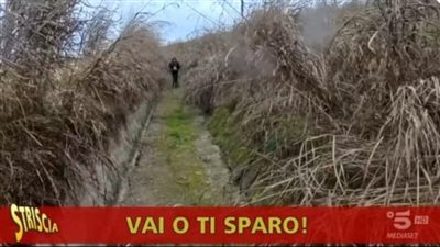 مذيع برنامج 