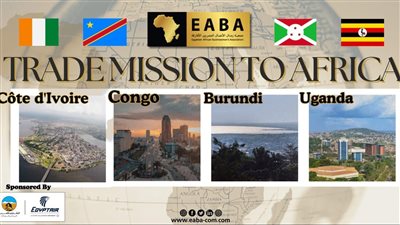 الشرقاوي: نسعى لخلق تعاون فاعل مع القطاع الخاص الأفريقي