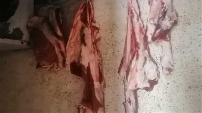 تموين الإسكندرية: ضبط مطعم مشهور يطرح كميات كبيرة من اللحوم والدواجن الفاسدة 