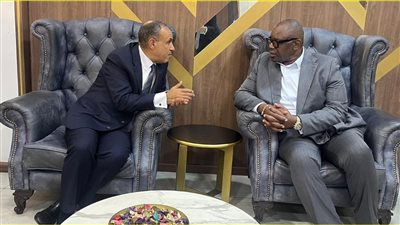 وزير الخارجية والهجرة يلتقي مع وزير الصناعة بالكونجو الديمقراطية