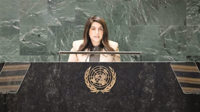 الإمارات تدعو لتقييد استخدام الفيتو في مجلس الأمن