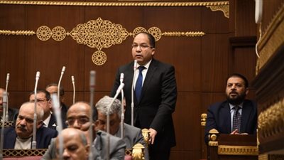 نائب: مشروع قانون تسجيل السفن التجارية خطوة نحو تحويل مصر لمركز لوجستي عالمي