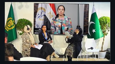   القومي للمرأة يشارك في جلسة 