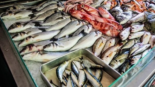 عاجل.. أسعار الأسماك تتماسك في الأسواق رغم الإقبال الكبير