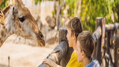 مغامرة عائلية في البحرين: دليلك لقضاء وقت ممتع بالمملكة