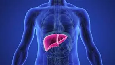 تضر بصحة الكبد.. طبيبة تحذر من تناول هذه الأطعمة