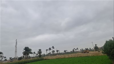 طقس الفيوم.. أجواء غائمة وانخفاض درجات الحرارة 