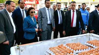 البحيرة تطلق  أكبر قافلة لبيض المائدة بأسعار مخفضة