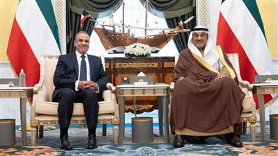 وزير الخارجية يستهل زيارته إلى دولة الكويت بلقاء ولي العهد