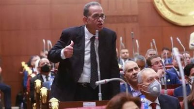 برلمانية الوفد نطالب بقوانين تضبط الاستيراد .. ورئيس الشيوخ دورنا التشريعي يسمح بالمتابعة 