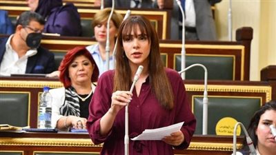 النائبة فاطمة سليم تتقدم بطلب إحاطة بشأن معاناة المحالين للمعاش بجريدة الجمهورية وعدم صرف مستحقاتهم