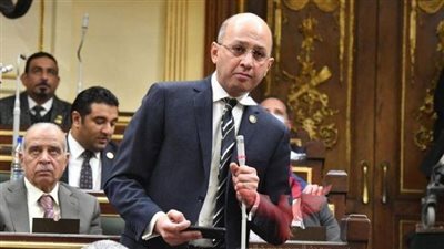 النائب هشام حسين يتقدم بطلب إحاطة بشأن عدم تفعيل قانون حظر تداول الطيور والدواجن الحية