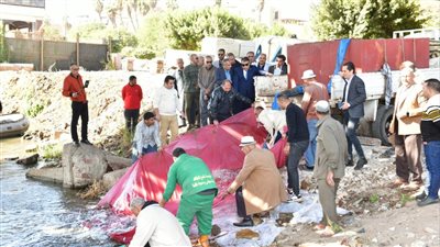 إلقاء 4 مليون و250 ألف زريعة أسماك في نهر النيل بالمنصورة