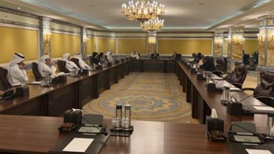 وزير الخارجية: مصر نجحت في حشد الاستثمارات الأجنبية المباشرة وتحسين أداء الاقتصاد