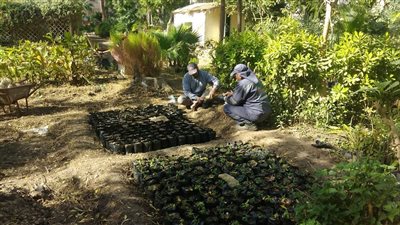  ضمن المبادرة الرئاسية 