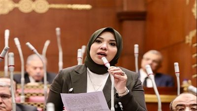 دينا هلالي تناقش آليات دعم ومساندة الحرف التراثية والحفاظ عليها 