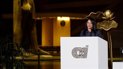 605 ملايين دولار استثمارات من مؤسسة التمويل الدولية لدعم التحول الأخضر في مصر