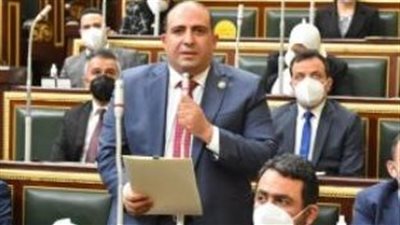 أفريقية النواب: تدمير المؤسسات الطبية بغزة وصمة عار في جبين المجتمع الدولي