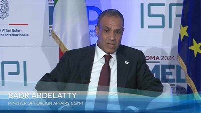 وزير الخارجية: الخيارات العسكرية تثبت فشلها ولا تحقق السلام 