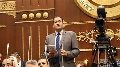 أمين سر لجنة الشباب والرياضة بمجلس الشيوخ: يطالب بمزيد من الحوافز التشريعية بالاقتصاد الأزرق 