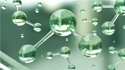 بولندا تبحث إنشاء مصنع لإنتاج الأمونيا الخضراء في مصر