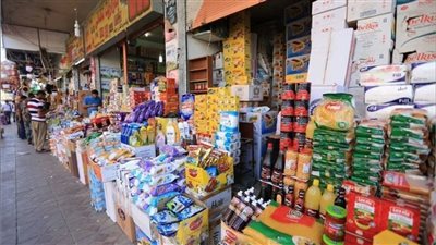 خبير اقتصادي: مصر تسعى لتوفير السلع المختلفة للمواطنين بأسعار مخفضة