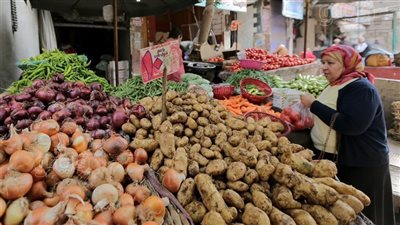 نقيب الفلاحين: انخفاض كبير بأسعار الطماطم والبطاطس