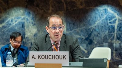 وزير المالية: مصر تنوع أدوات وأسواق التمويل لتوسيع قاعدة المستثمرين وخفض أعباء الدين 