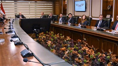 ️وزير الطيران يبحث مع عدد من ممثلي شركات الطيران أوجه التعاون المشترك 