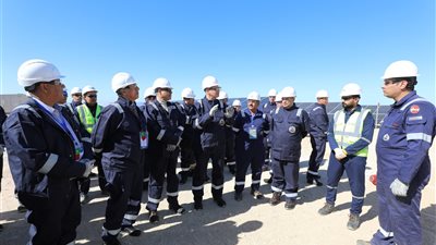 وزيرا البترول والعمل يتفقدان حقول جنوب سيناء ومحطة توليد الكهرباء بالطاقة الشمسية