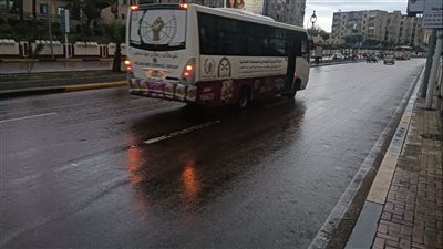 تداول 3373 حاوية مكافئة خلال 24 ساعة بميناء الإسكندرية 