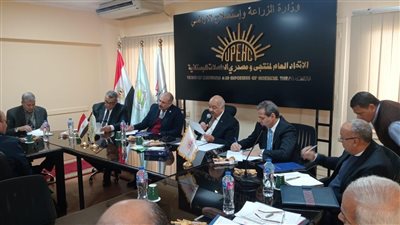 المجلس النوعي للزيتون يؤكد على الاهتمام بالتصنيع وفتح أسواق جديدة