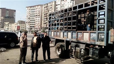 محافظ الدقهلية يكلف بمتابعة أعمال توزيع اسطوانات البوتاجاز المنزلي