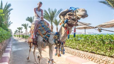 خبير سياحي: الغردقة على أتم استعداد للموسم السياحي الشتوي