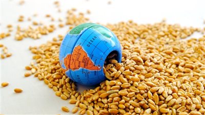 دور وزارة الزراعة في تحقيق الأمن الغذائي بمصر