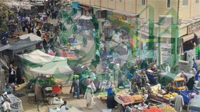 توقف حركة المرور في كوم امبو.. لهذا السبب 