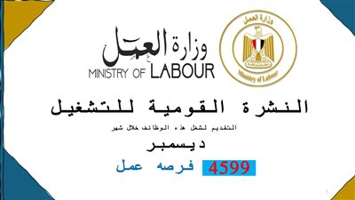 وزارة العمل: 4599 فُرصة عمل جديدة في 53 شركة خاصة تنتظر شباب 10 مُحافظات