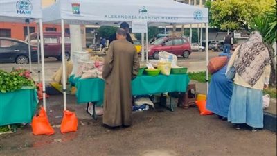 بعد نجاح تجربة محطة الرمل.. افتتاح سوق جديد للمزارعين بالإسكندرية 