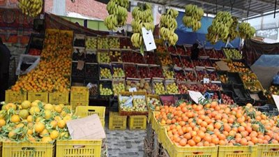 المنوفي: التوسع في المنافذ والأسواق الدائمة يحد من ارتفاع الأسعار