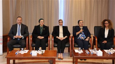 القومي للمرأة ينظم ورشة عمل حول نظام التنسيق المحلي بين الجهات فى جرائم العنف ضد المرأة