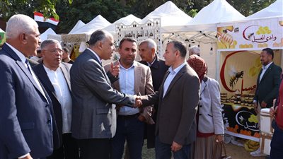 الثروات النحلية ومنتجات العسل.. مفتاح النجاح للصادرات الزراعية وتطوير إنتاجية المحاصيل