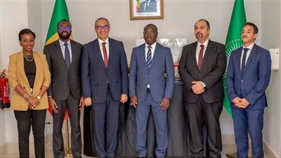 السفير المصري يلتقي مع وزير الطاقة والبترول والمناجم السنغالي