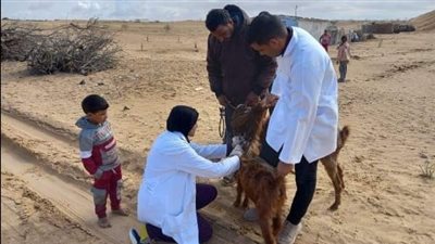 قافلة طبية بيطرية لدعم المزارعين بسيناء 
