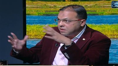 خبير: العُمد في مصر يحكمون 58 مليون مواطن